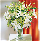 Lilies and More