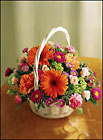 /images/ftd02/C21-3463lg.jpg Floral Burst Arrangement