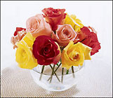 Beauty of Roses