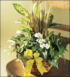 FTD Village Square Planter