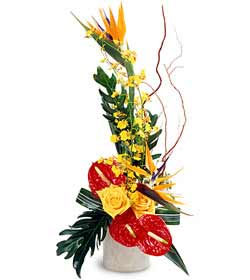 Tropical Bright Arrangement from Arthur Pfeil Smart Flowers in San Antonio, TX
