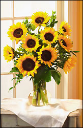 Sunflower Serenade from Arthur Pfeil Smart Flowers in San Antonio, TX