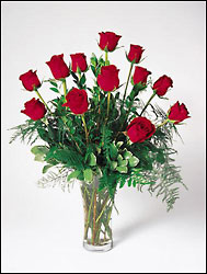 Classic Red Roses