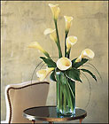 White Callas