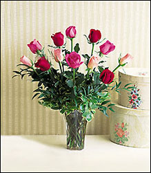 A Dozen Multi-colored Roses