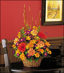 Fall Splendor