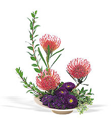 Pin Cushion Protea Bowl from Arthur Pfeil Smart Flowers in San Antonio, TX