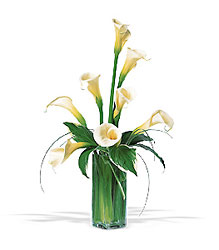 White Callas from Arthur Pfeil Smart Flowers in San Antonio, TX
