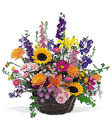 Summertime Sensation Basket from Arthur Pfeil Smart Flowers in San Antonio, TX