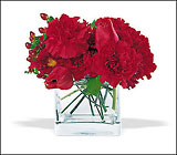 Cube with Red Blooms