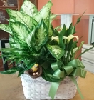 Yellow Bird Basket from Arthur Pfeil Smart Flowers in San Antonio, TX
