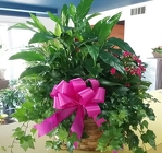 European Garden Basket from Arthur Pfeil Smart Flowers in San Antonio, TX