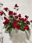 Elizabeth from Arthur Pfeil Smart Flowers in San Antonio, TX Elizabeth from Arthur Pfeil Smart Flowers in San Antonio, TX