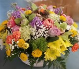 HILLARY from Arthur Pfeil Smart Flowers in San Antonio, TX