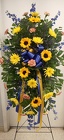 Lions Roar from Arthur Pfeil Smart Flowers in San Antonio, TX