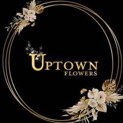 Logo Logo