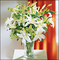Lilies and More from Arthur Pfeil Smart Flowers in San Antonio, TX