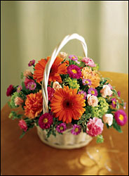 Floral Burst Arrangement from Arthur Pfeil Smart Flowers in San Antonio, TX