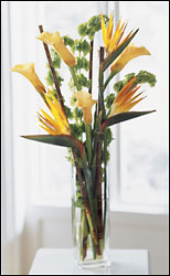  Tropicala Bouquet from Arthur Pfeil Smart Flowers in San Antonio, TX