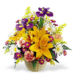  Natural Wonders Bouquet from Arthur Pfeil Smart Flowers in San Antonio, TX