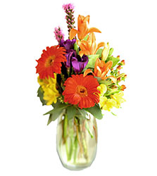  Festival of Color Bouquet from Arthur Pfeil Smart Flowers in San Antonio, TX