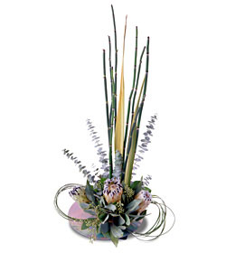  Island Breeze Arrangement from Arthur Pfeil Smart Flowers in San Antonio, TX