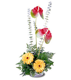  Blazing Beauty Bouquet from Arthur Pfeil Smart Flowers in San Antonio, TX
