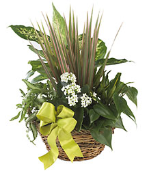  Village Square Planter from Arthur Pfeil Smart Flowers in San Antonio, TX