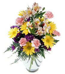 Festive Wishes from Arthur Pfeil Smart Flowers in San Antonio, TX