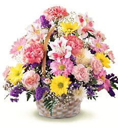  Basket Of Cheer Bouquet from Arthur Pfeil Smart Flowers in San Antonio, TX