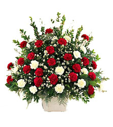 Devotion Arrangement from Arthur Pfeil Smart Flowers in San Antonio, TX