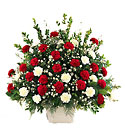 Devotion Arrangement from Arthur Pfeil Smart Flowers in San Antonio, TX