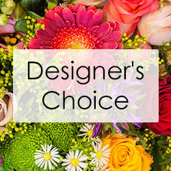 Designer's Choice Bright Colors Design