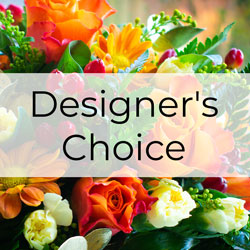 Designer's Choice Fall Design from Arthur Pfeil Smart Flowers in San Antonio, TX
