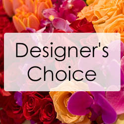 Designer's Choice Jewel Tone Design