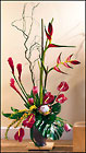 Tropical Abundance from Arthur Pfeil Smart Flowers in San Antonio, TX