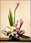 Taste of the Tropics from Arthur Pfeil Smart Flowers in San Antonio, TX