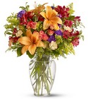 Classic Celebration from Arthur Pfeil Smart Flowers in San Antonio, TX