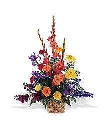 Rainbow Basket from Arthur Pfeil Smart Flowers in San Antonio, TX