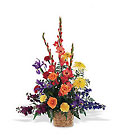 Rainbow Basket from Arthur Pfeil Smart Flowers in San Antonio, TX