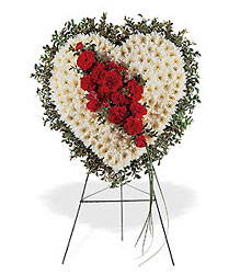 Tribute Heart from Arthur Pfeil Smart Flowers in San Antonio, TX