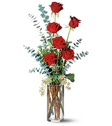 Six Red Roses from Arthur Pfeil Smart Flowers in San Antonio, TX