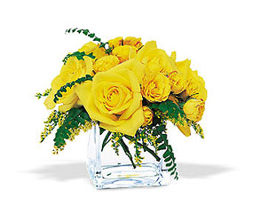 Yellow Rose Bravo!