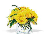 Yellow Rose Bravo! from Arthur Pfeil Smart Flowers in San Antonio, TX