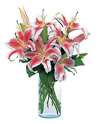 Lovely Lilies from Arthur Pfeil Smart Flowers in San Antonio, TX